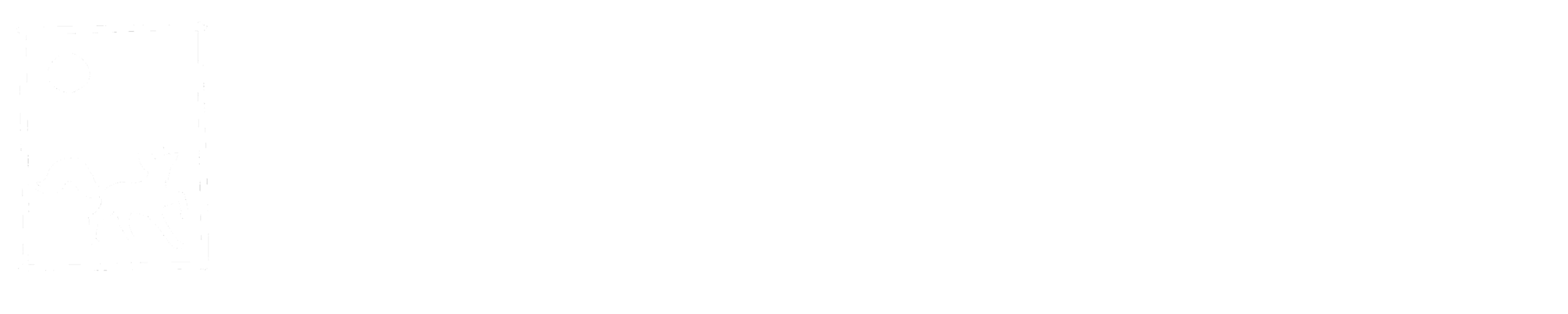 Blue Fox Bookstore